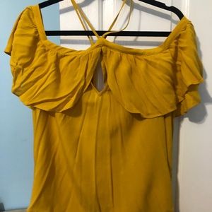 Beautiful Gently Worn Express Top